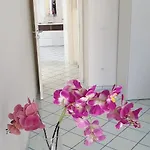 Casa Cilento Pardalis * 아그로폴리