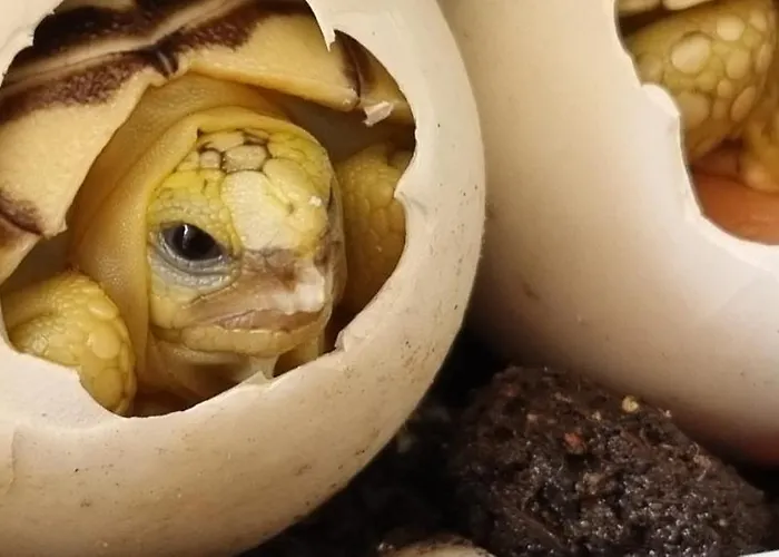 Casa vacanze Casa Cilento Pardalis